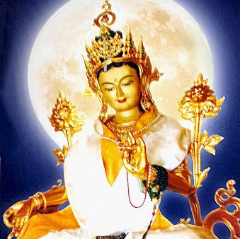 度母